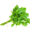 Celery - sereri