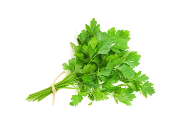 Celery - sereri